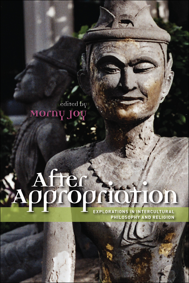 Cover Image for: After Appropriation: Explorations in Intercultural Philosophy and Religion