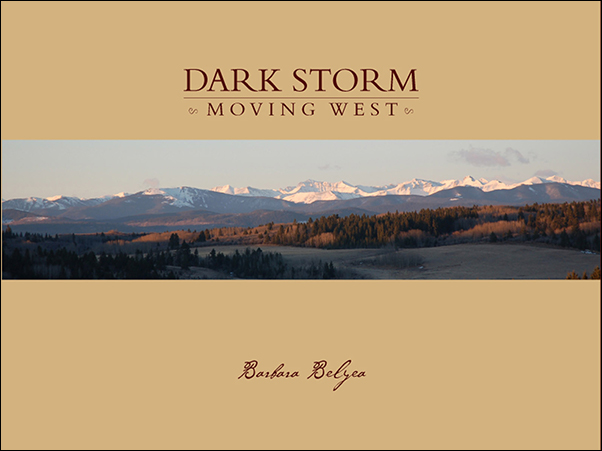 Book cover Image Dark Storm Moving West