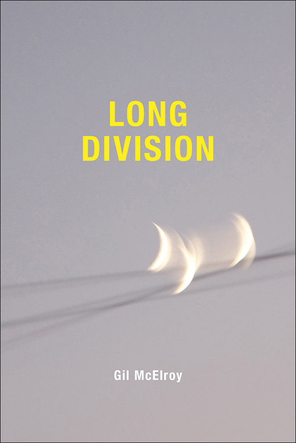 image of the book cover of Long Division