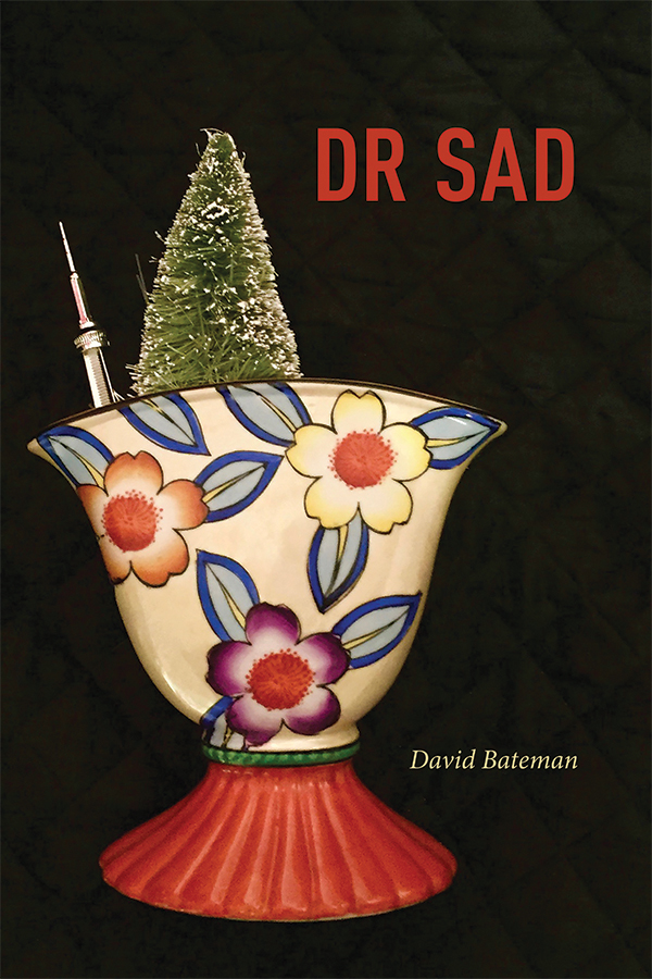 Book Cover Image for: DR SAD