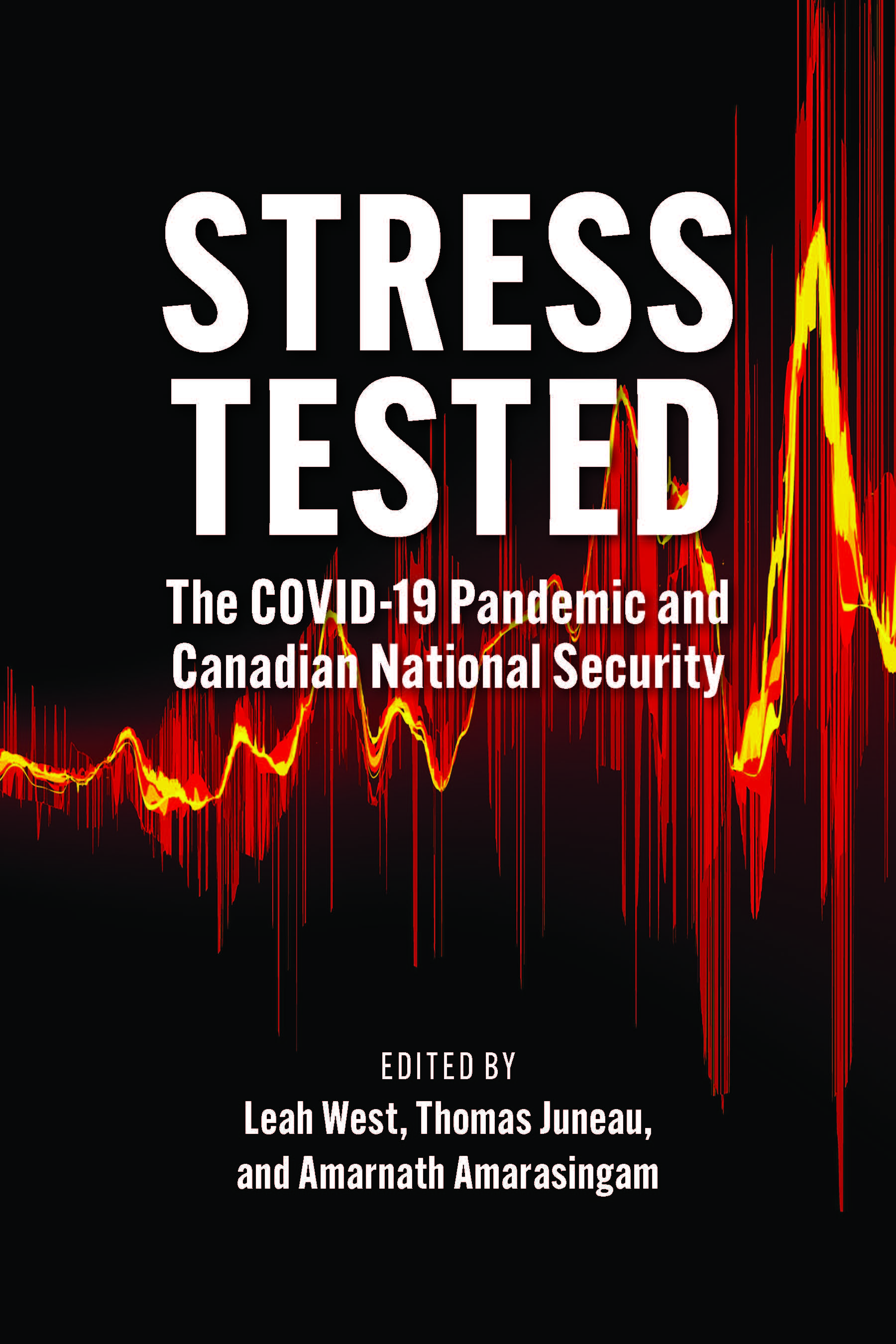 image of the book cover of Stress Tested