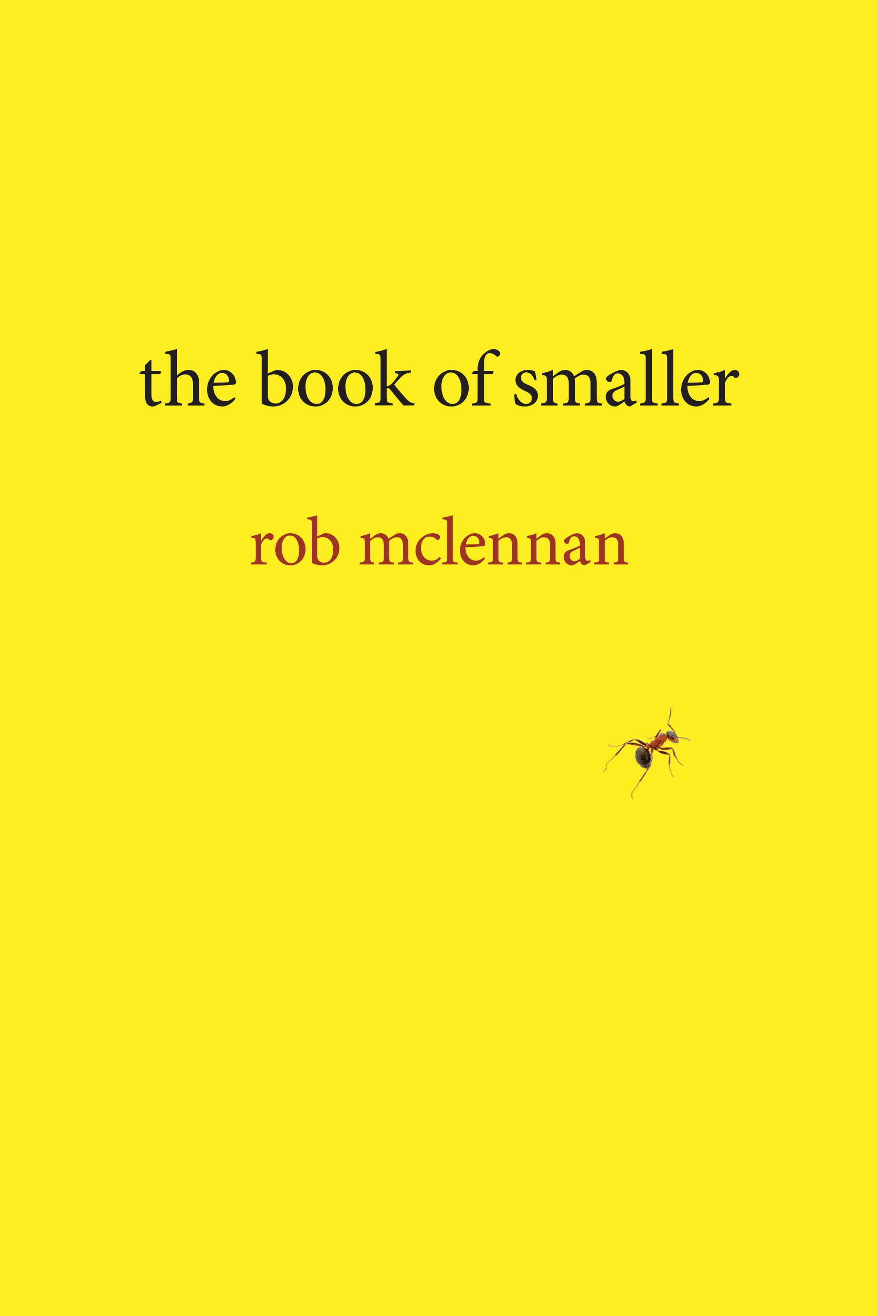 Book Cover Image for: book of smaller