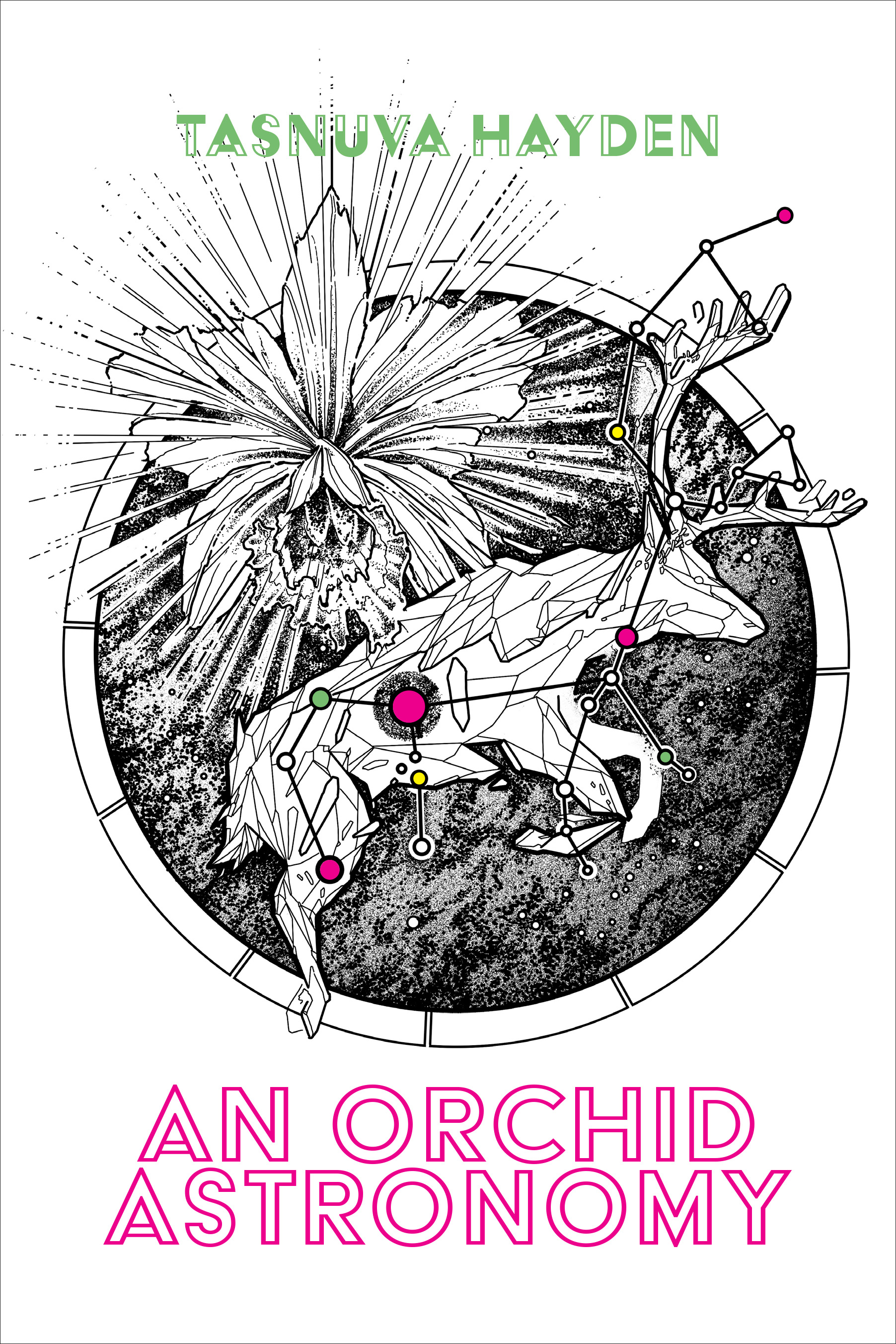 Book Cover Image for: Orchid Astronomy