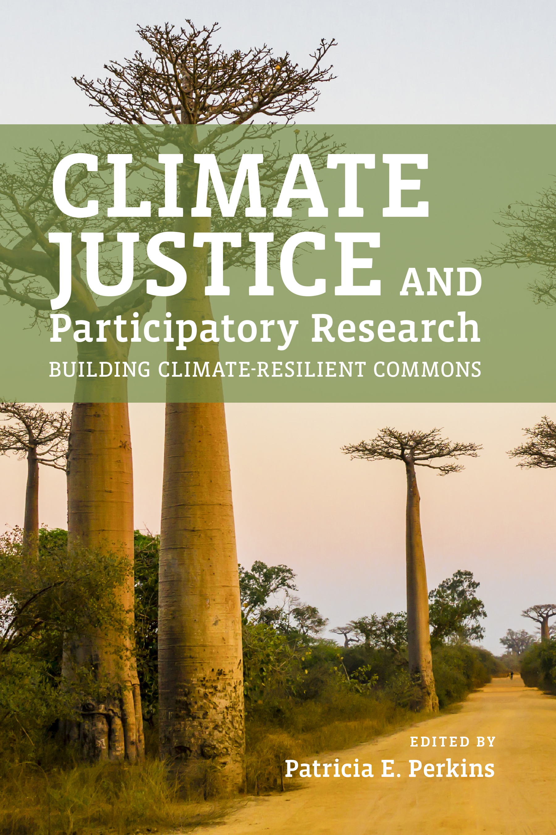 Cover Image for: Climate Justice and Participatory Research