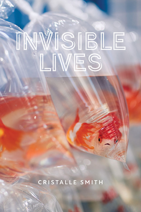 image of the book cover of Invisible Lives