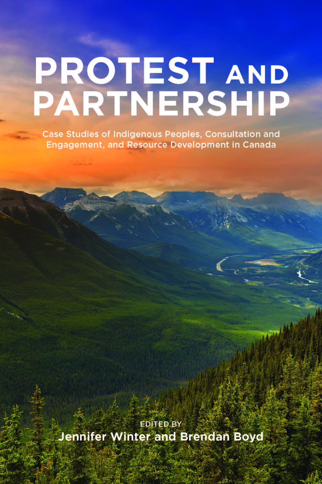 Book cover image for: Protest and Partnership