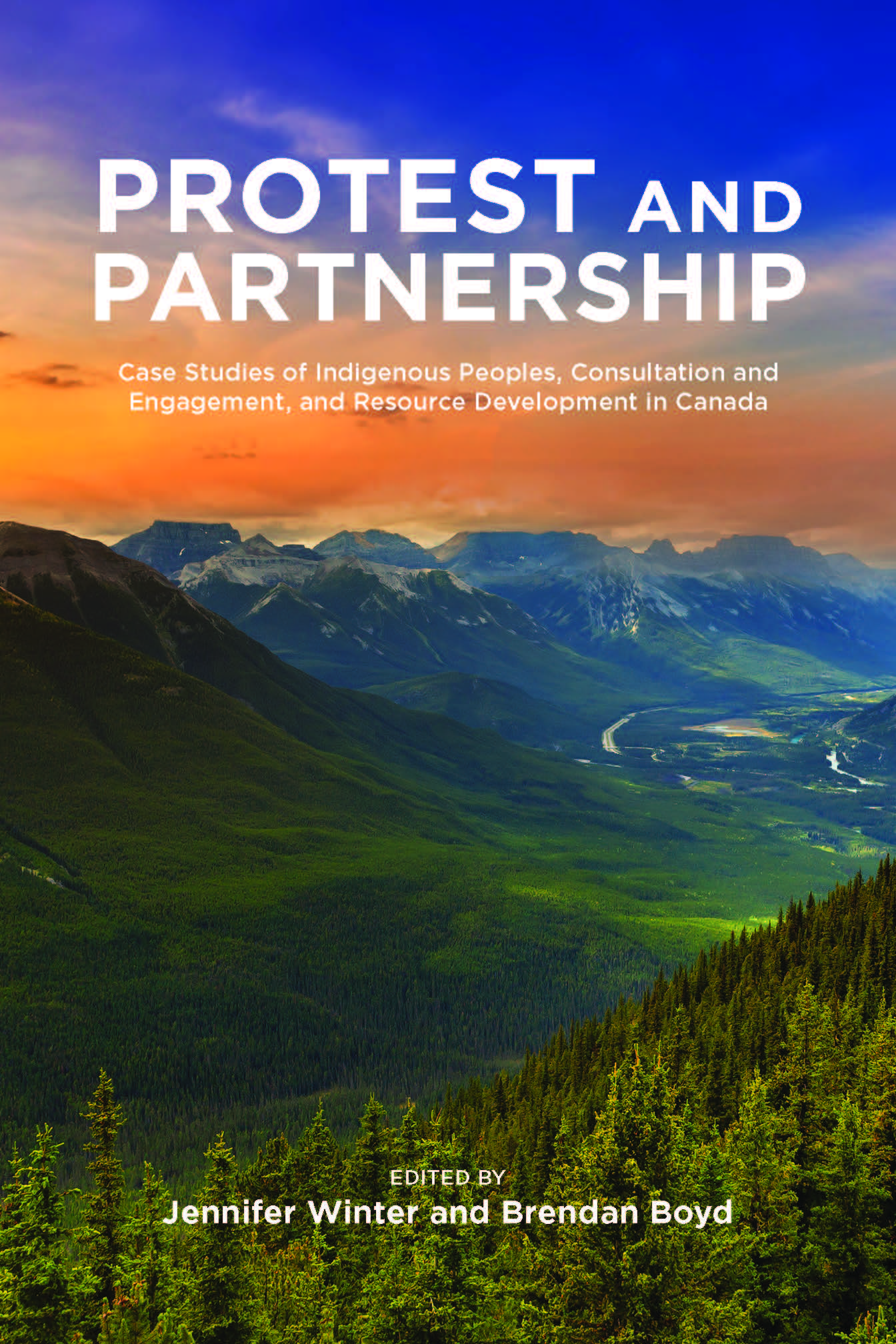 image of the book cover of Protest and Partnership