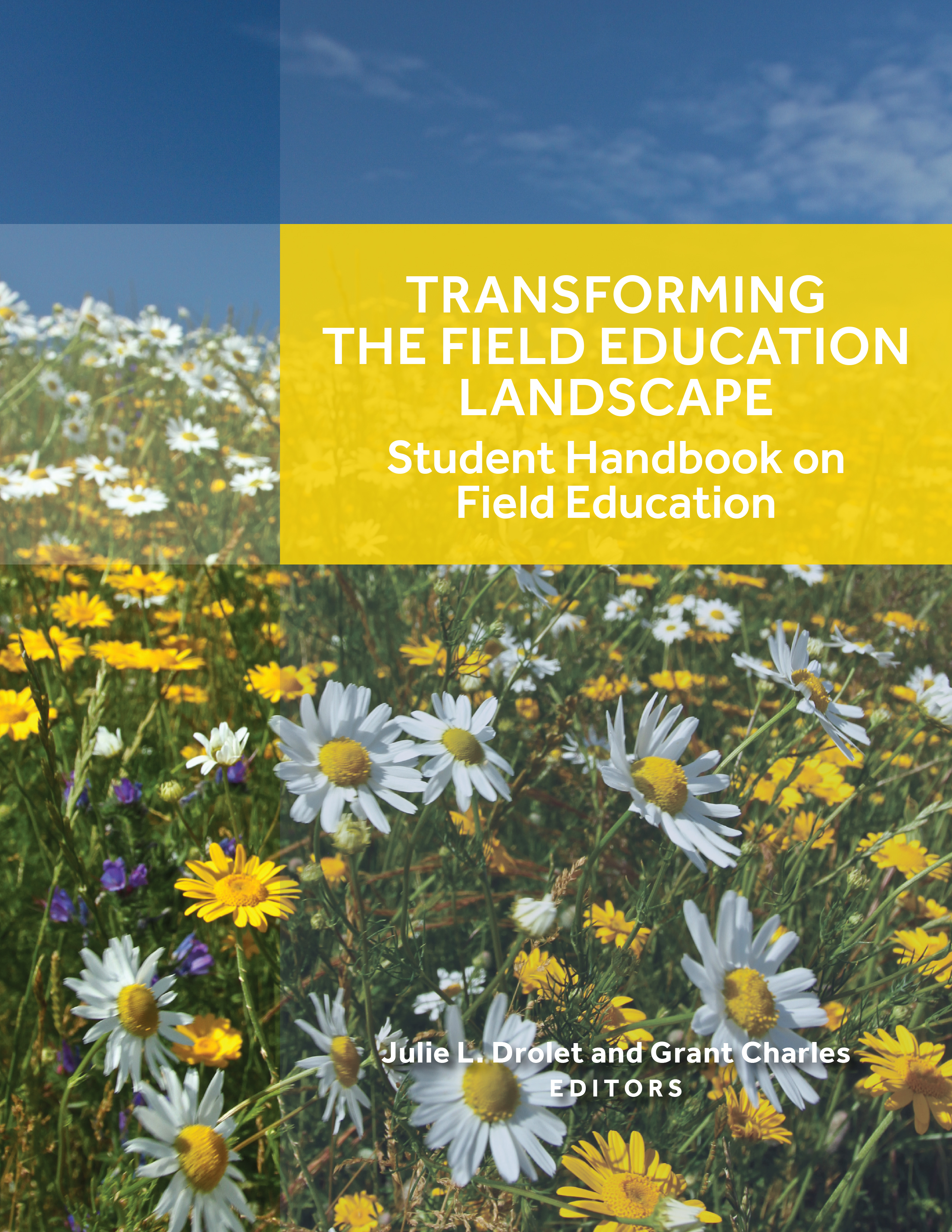 image of the book cover of Transforming the Field Education Landscape