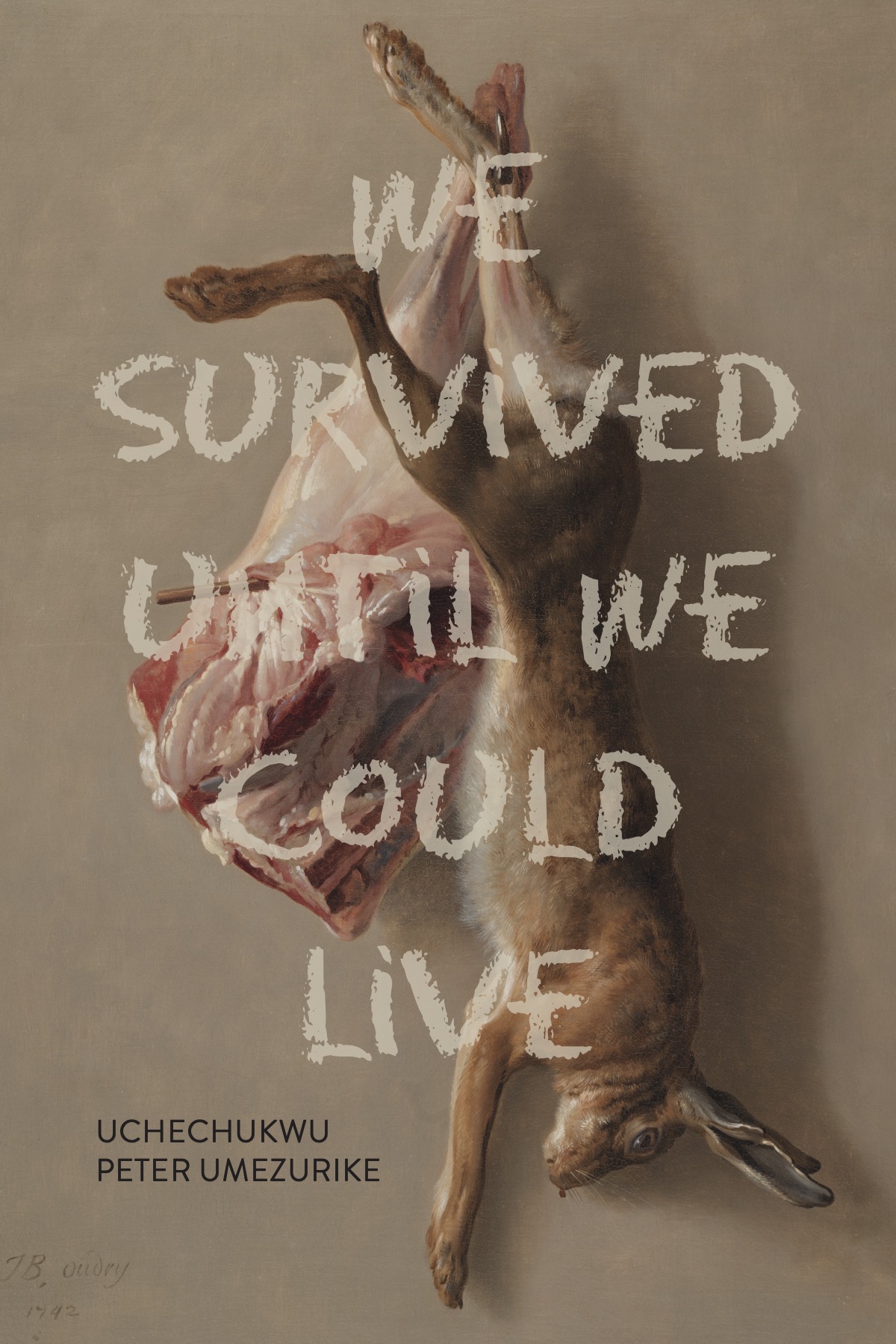 Book Cover for: We Survived Until We Could Live
