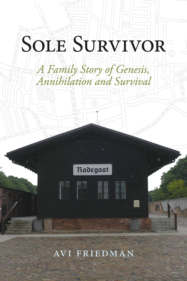 Book Cover for: Sole Survivor: A Family Story of Genesis, Annihilation and Survival