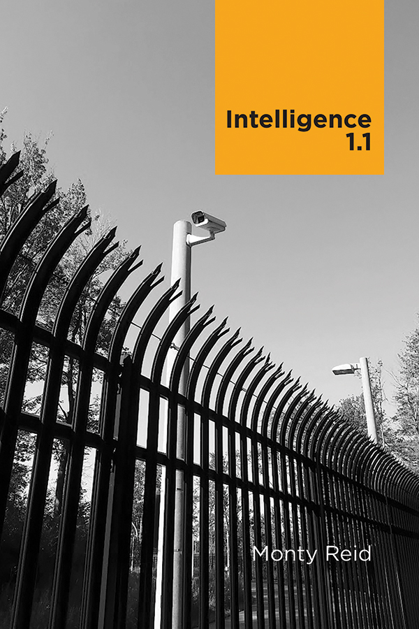 Book Cover for: Intelligence 1.1